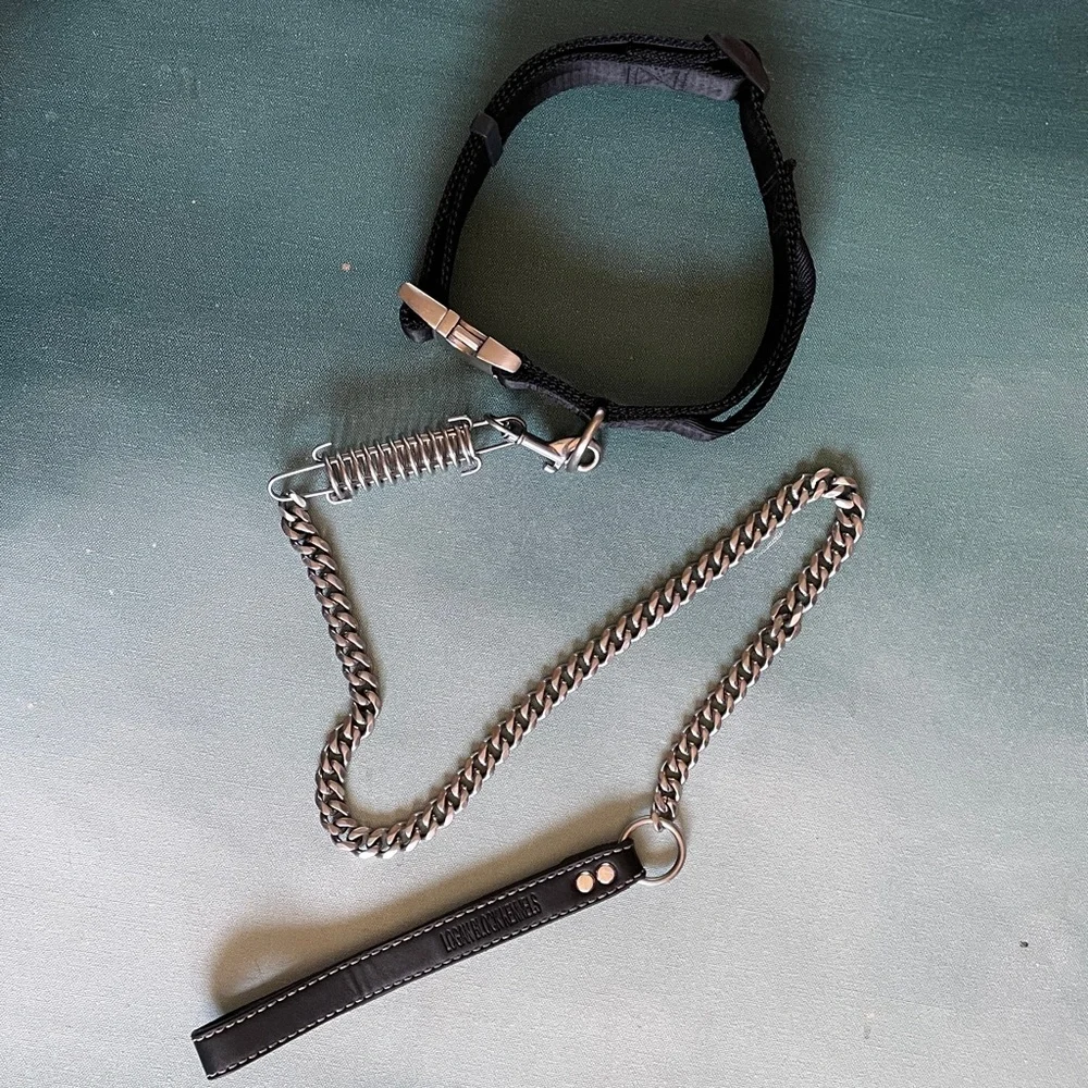 Alu-Max Nylon D-Ring Dog Collar 1.5” with Handle XL + Leash